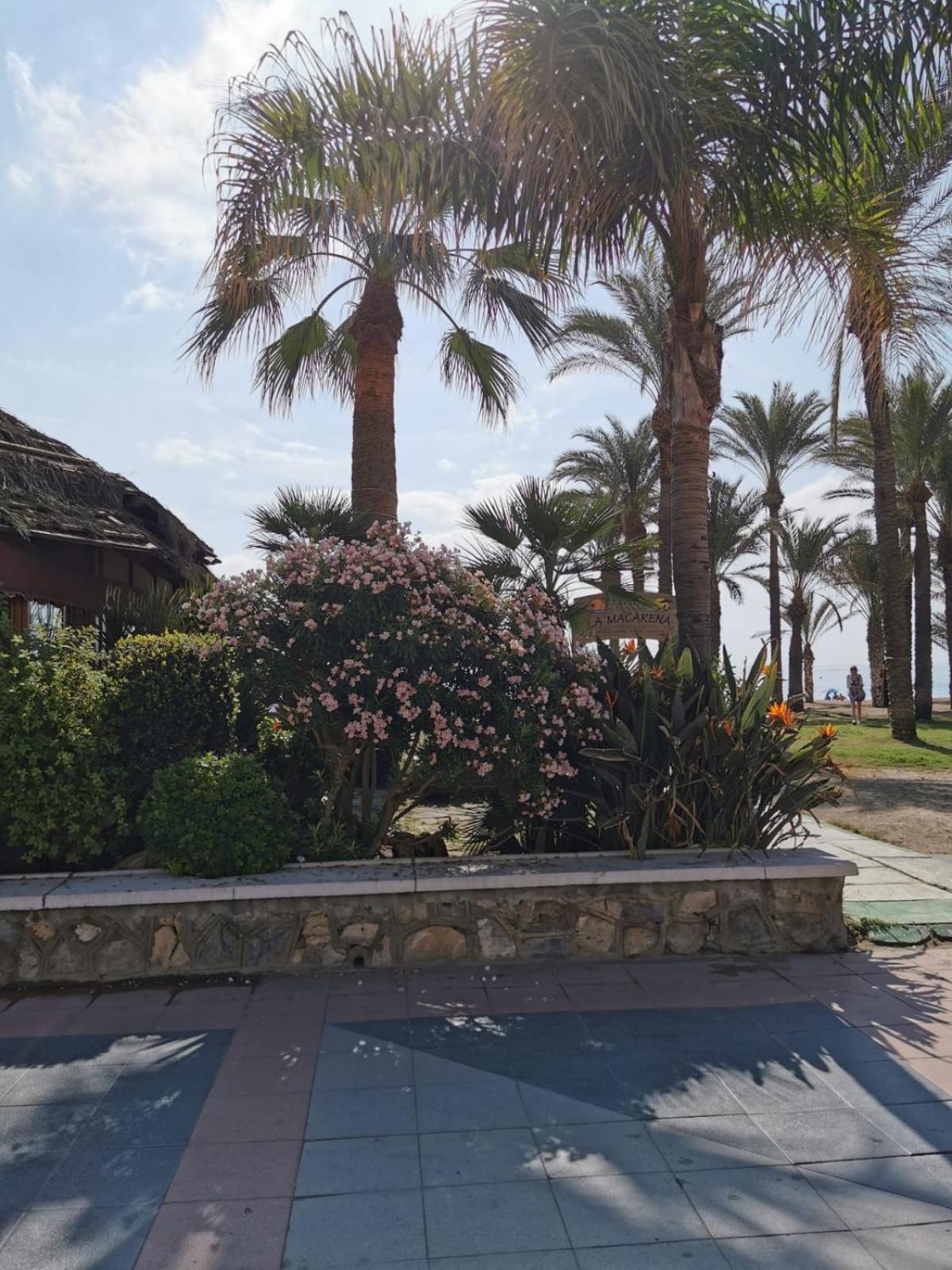 Apartamento En El Centro De Torremolinos Dış mekan fotoğraf